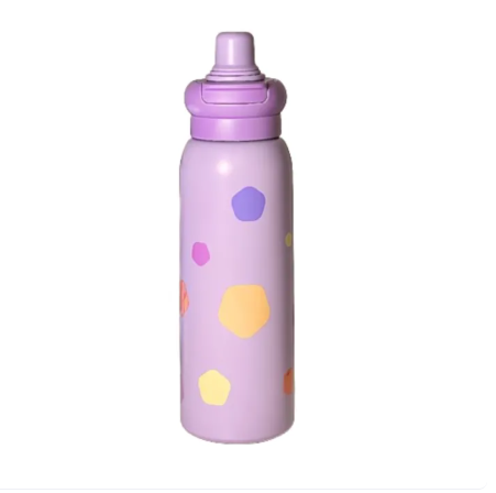 650ml Stainless Steel Thermal Bottle