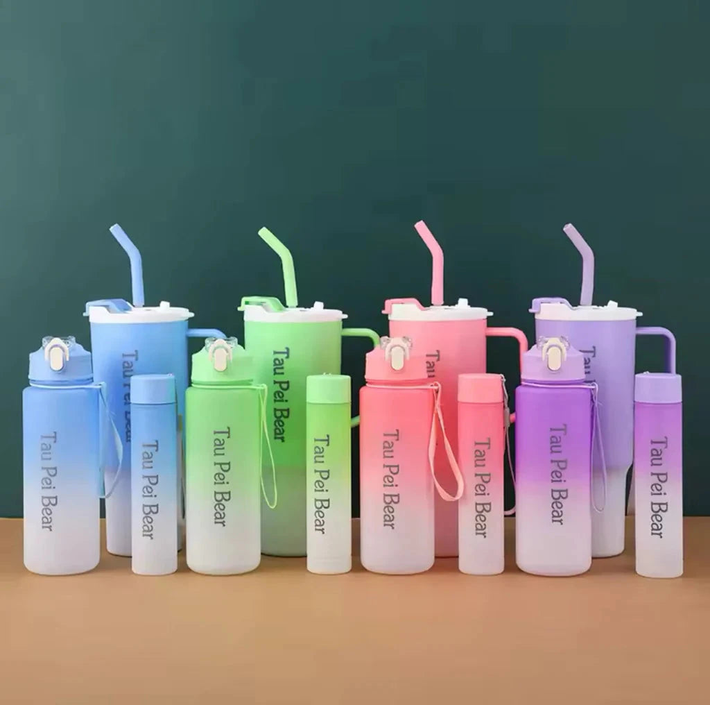 3in1 Beauty Water Bottle OR Tumbler set HaveLock Shop