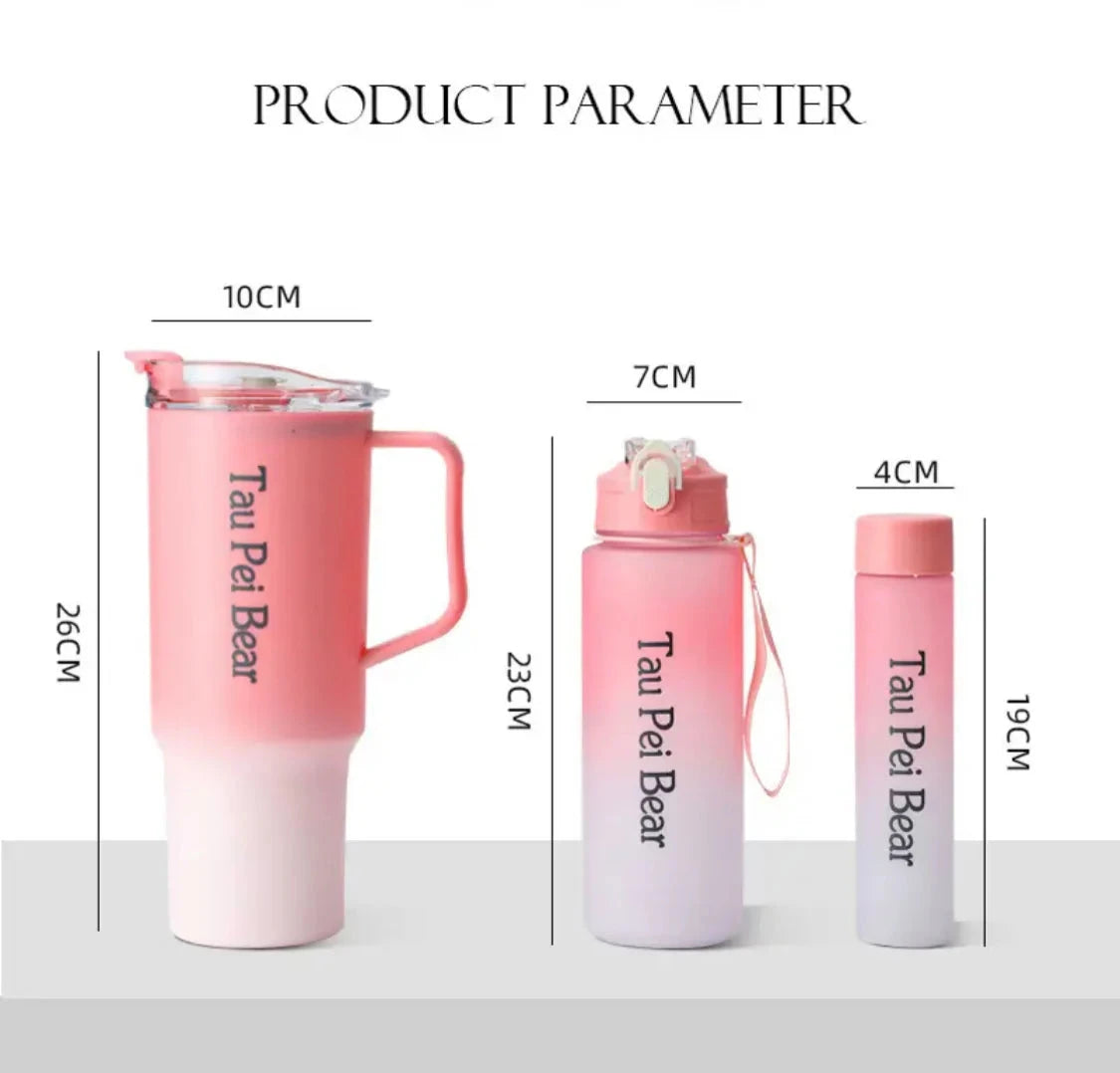 3in1 Beauty Water Bottle OR Tumbler set HaveLock Shop