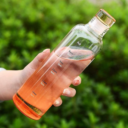 Glass Sports Bottle 500ml HaveLock Shop