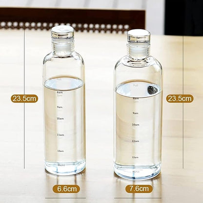 Glass Sports Bottle 500ml HaveLock Shop