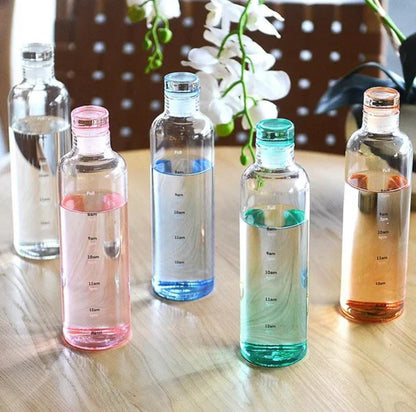 Glass Sports Bottle 500ml HaveLock Shop