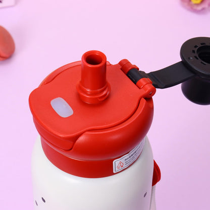 Stainless steel bottle 650ml
